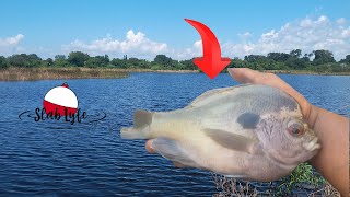 BIG BLUEGILL FISHING IN A HIDDEN LAKE #bluegillfishing #hiddengems #lake  #explore