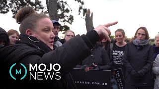 ZOE: Vegans invade a Melbourne Slaughterhouse