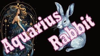 Aquarius Rabbit - The Thoughtful Idealist