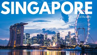 Singapore's Magnificent Landscapes | A Visual Delight