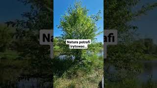 Natura potrafi irytować...