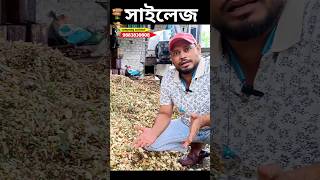 সাইলেজ #shailesh #consilage #tranding #viralshort #viralreels