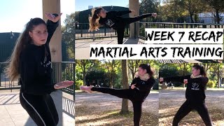 Week 7 Recap - Martial Artist Training Routine