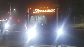 Calgary Transit 2019 Nova Bus LFS CNG #8388 on Route 159 Saddlebrook