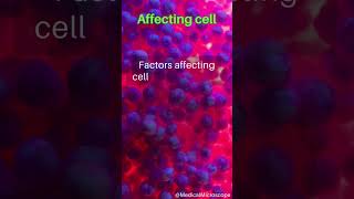 Affecting cell │ Selected medical terminology │ #medicalterminology #affectingcell #short