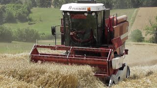 [TREBBIATURA GRANO 2021] LAVERDA M 112 - FIATAGRI 80-90