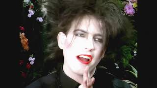 the cure the caterpillar (HD Remastered)