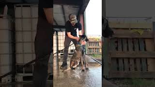 Luka getting a bath!