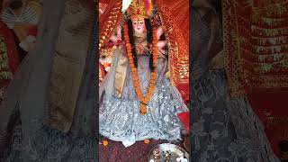 Maa Main Khada Dwar Tere #durga #durgapuja #durgamata #durgamaa #viralvideo #shorts