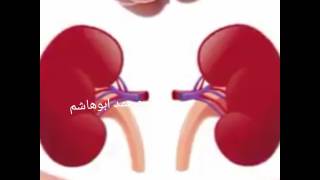 أبوهاشم الخلاقي  خبير الأعشاب ولطب البديل