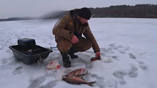 Зимняя рыбалка на ЛЕЩА! Рыбалка на ОКЕ!