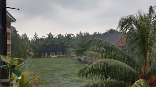 Kalau kau suka hati tepuk tangan. Yuk Liburan di Grand Mulya Resort & Conversation Bogor