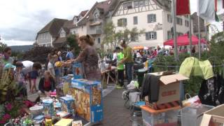 Altstadtfest Radolfzell 2015