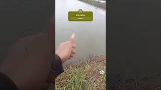 Lokasi mancing bandeng di full video #mancingbandeng