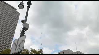 ✅ Helicopters accompany Trump's motorcade as he continues to travel to court.