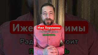 А вы складываете руки на груди во время исполнения «Херувимской»? #православие #литургия #пасха