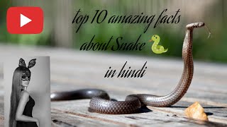 top 10 amazing facts about snakes in hindi #snake #hindi #wildlife #Hindifacts #animalplanet #bbc