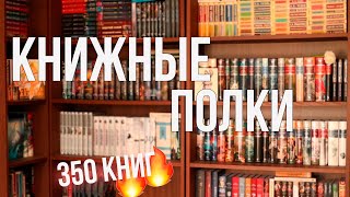 Перестановка на книжных полках🔥 Как я храню 350 книг📚📚