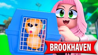 J'ADOPTE UN ANIMAL sur ROBLOX RP ! (Brookhaven)