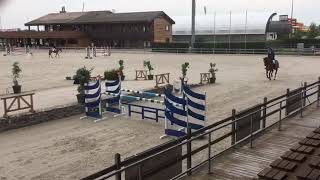 148 - Sale - show jumping - super price !!!