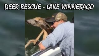 Lake Winnebago Deer Rescue