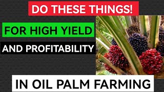 Best Management Practices For High Yield And Profitability In Oil palm Farming