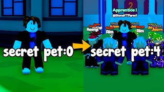 Bacon Spent 100 Hours To Get The Secret Pets In Anime Star Simulator Roblox!