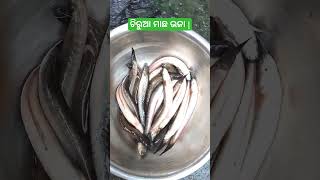 ଚିରୁଆ ମାଛ ଭଜା | चिरुआ मछली फ्राई ll #fishfry #ytshorts #shorts #fishlover #cooking