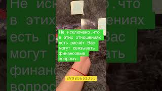 Перспектива ваших отношений.Личные расклады: 89085651335