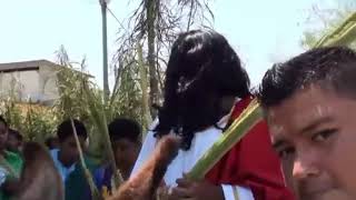 Domingo de ramos en San Miguel Totolapan Guerrero 2018