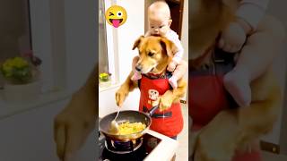 Funny Dog and baby#funny