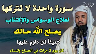 سورة واحدة لا تتركها لعلاج الوسواس والإكتئاب يصلح الله حالك هنيئاً لمن داوم عليها /امحمد الشنقيطي