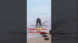 Русалки.Жесть.Если не камера никто би не поверил.Черное море😳😳😳🇺🇦