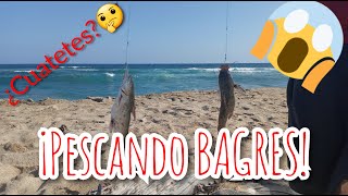 🌊Un Día Pescando BAGRES en el MAR🎣🐟 || Sin caña de pescar