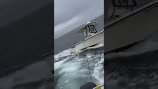 REMEMBER THE BOAT THAT GOT FLIPPED BY A WHALE?! #fishing #boating #boston #sailing #whale