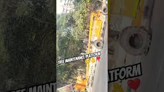 Shaktimaan Tree Maintenance Platform #moyemoye #funny #viralvideo #dsssb