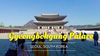 One of the Popular Attractions in Seoul! 🇰🇷| Gyeongbokgung Palace