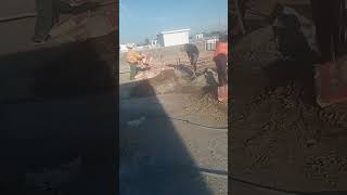 video 2024 11 01 18 32 14