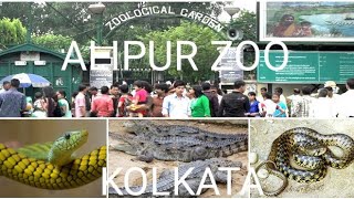 ALIPUR ZOO / The zoological garden of kolkata / west Bengal