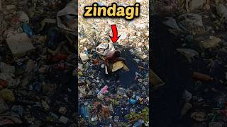 Zindagi | #zindagi  #shorts |