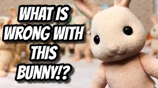 WHAT IS WRONG WITH THIS BUNNY!? | Sylvanian Families | Calico Critters | Haul