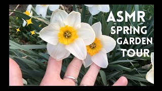 Outdoor ASMR First Garden Tour of 2023 😊🌼🌱 (lofi, soft spoken) Spring Flowers, Herbs + Wild Edibles