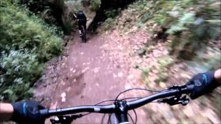 MTB-Trails in Thüringen (Eisenach) - Biken at Home