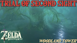 Trial of Second Sight (Shrine Quest) - Zelda: Breath of the Wild