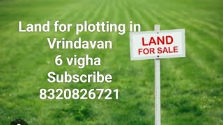 #landforsale in Vrindavan six vigha #vrindavanproperty #investinland