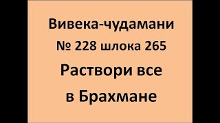 ВивекаЧудамани курс Свамини Видьянанды Сарасвати 228 шлока 265 Раствори все в Брахмане