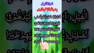 Surah Al-Fil(الفیل) beautiful recitation by Salim Bahanan #qurantelawat #surahfil #viralshorts