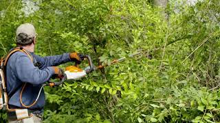 Cortasetos de batería STIHL HSA 94 R, ¡disfruta podando tus setos!