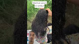 wow 😮 makhluk seram dirambut #hewan #faktaunik #funfacts #hairstyle #funny #amazing#scary #short