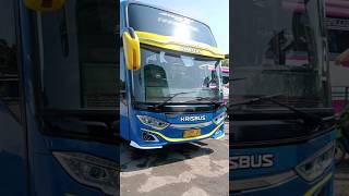 bus pariwisata krisbus #shorts